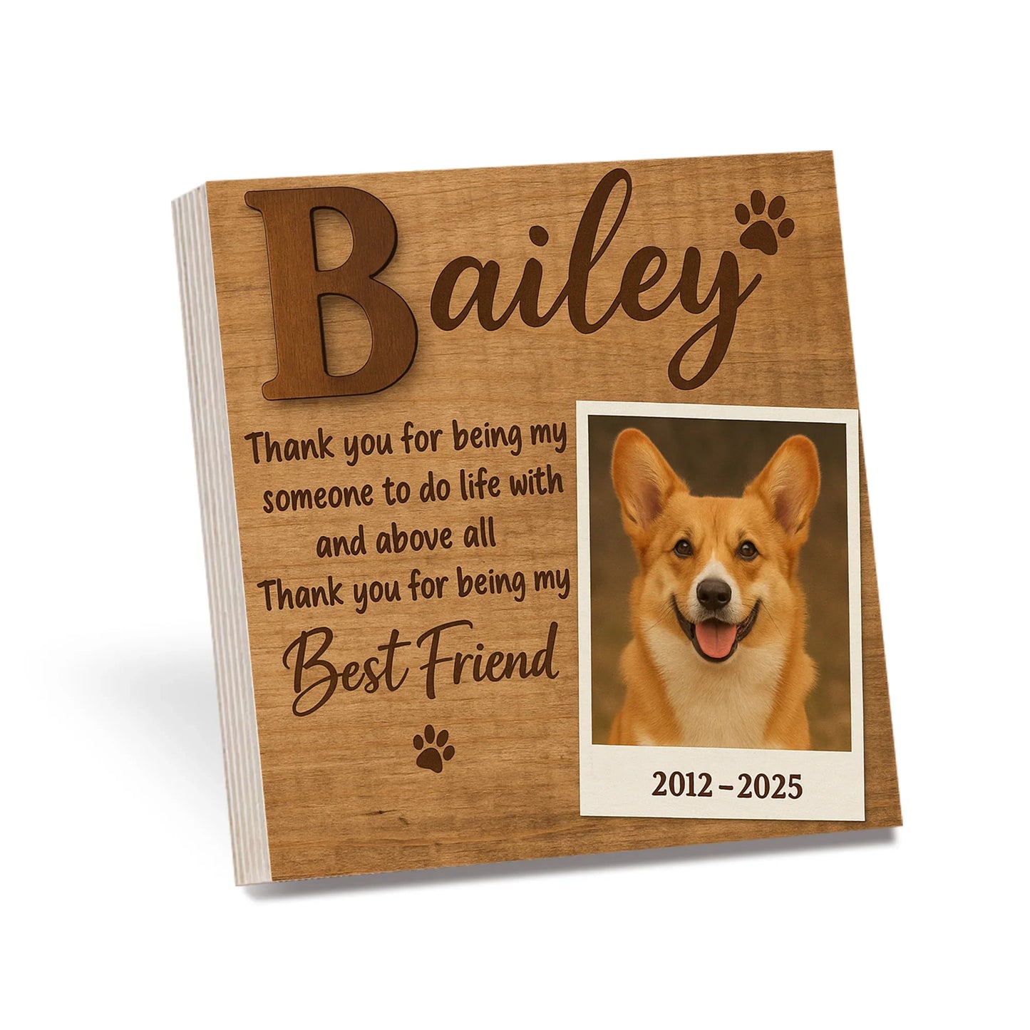 Pet Loss Gift – Thank You for Being My Best Friend Memorial Frame