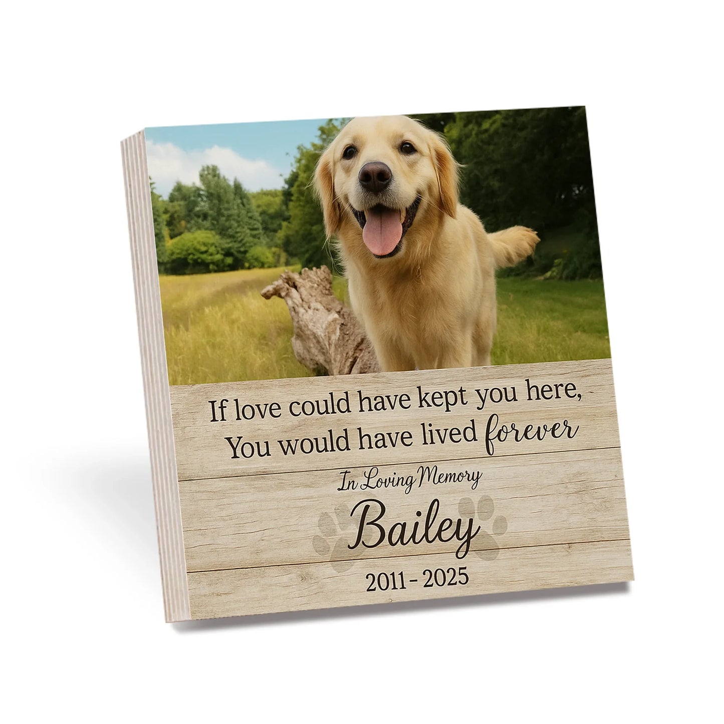 Personalized Pet Loss Gift – “If Love Could Have Kept You” Memorial Frame