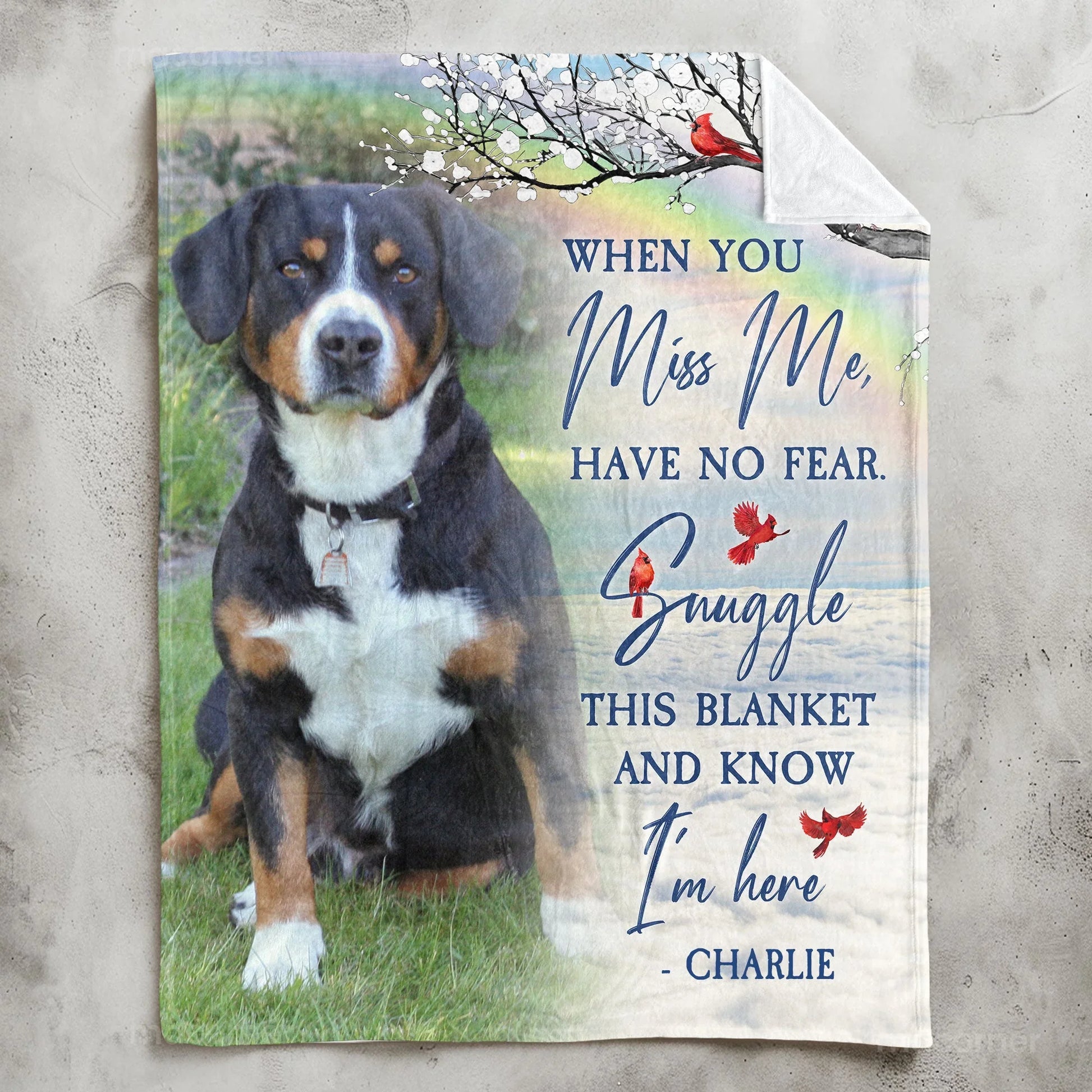Dog Memorial Gifts – When You Really Miss Me Hug This Blanket - PersonalizedFury