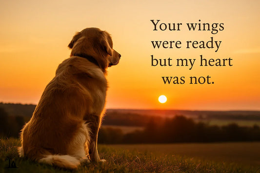 54 Touching Pet Memorial Quotes to Honor Your Beloved Pet in 2025 - PersonalizedFury