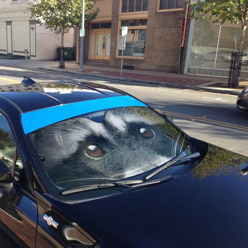 Gearhumans 3D Beautiful Eyes Of Raccoon Custom Sunshade
