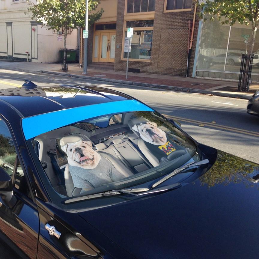 Gearhumans 3D Bulldog 02 Custom Car Auto Sunshade