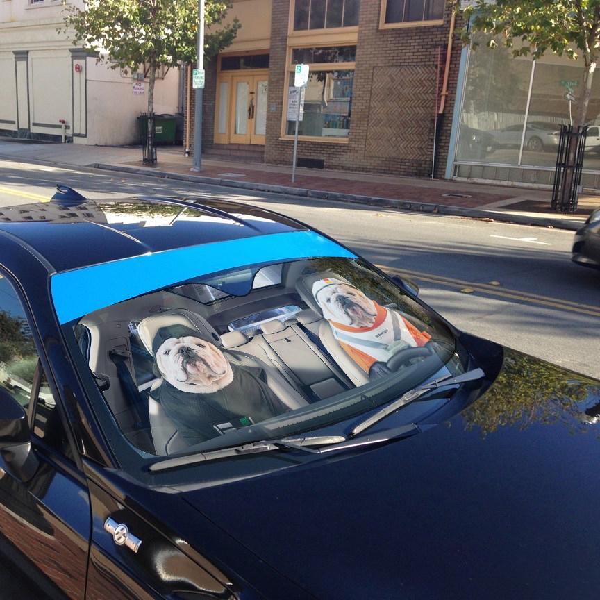 Gearhumans 3D Bulldog 10 Custom Car Auto Sunshade