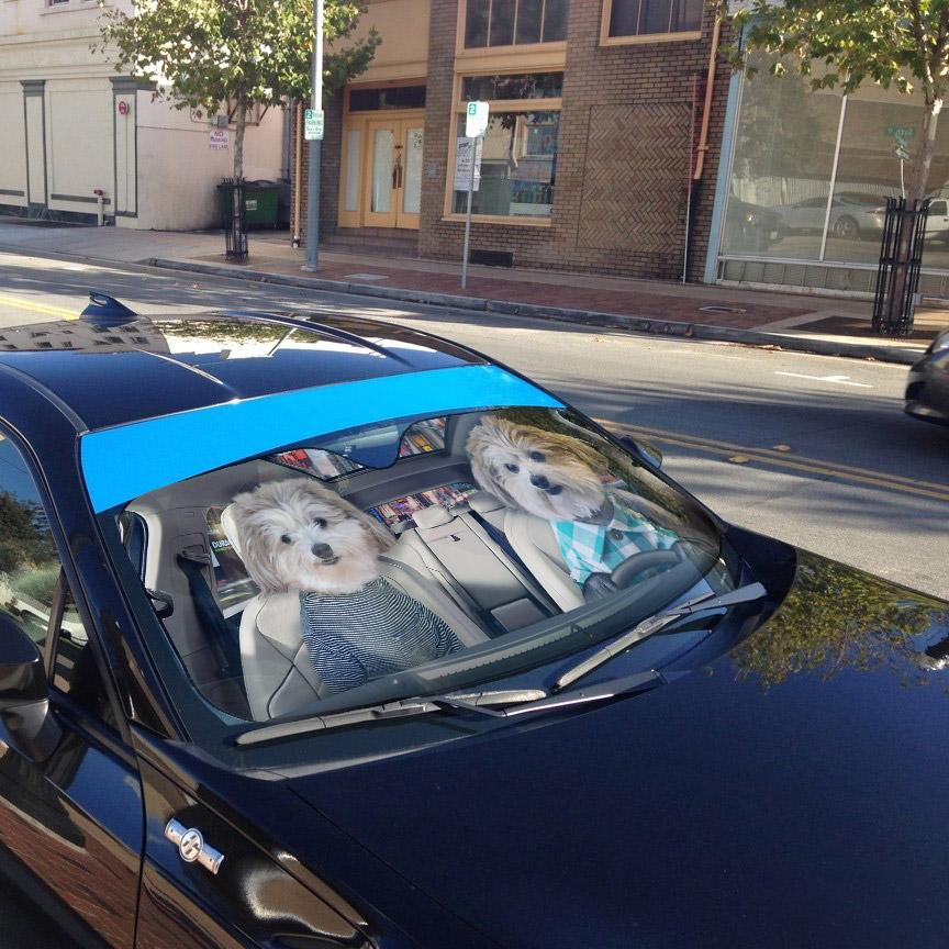 Gearhumans 3D Couple Cute Shih Tzu Puppies Custom Car Auto Sunshade