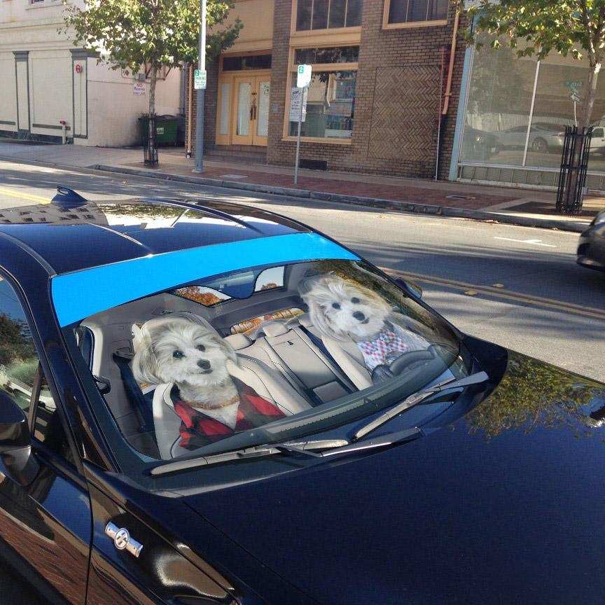 Gearhumans 3D Couple Shih Tzu Puppies Custom Car Auto Sunshade