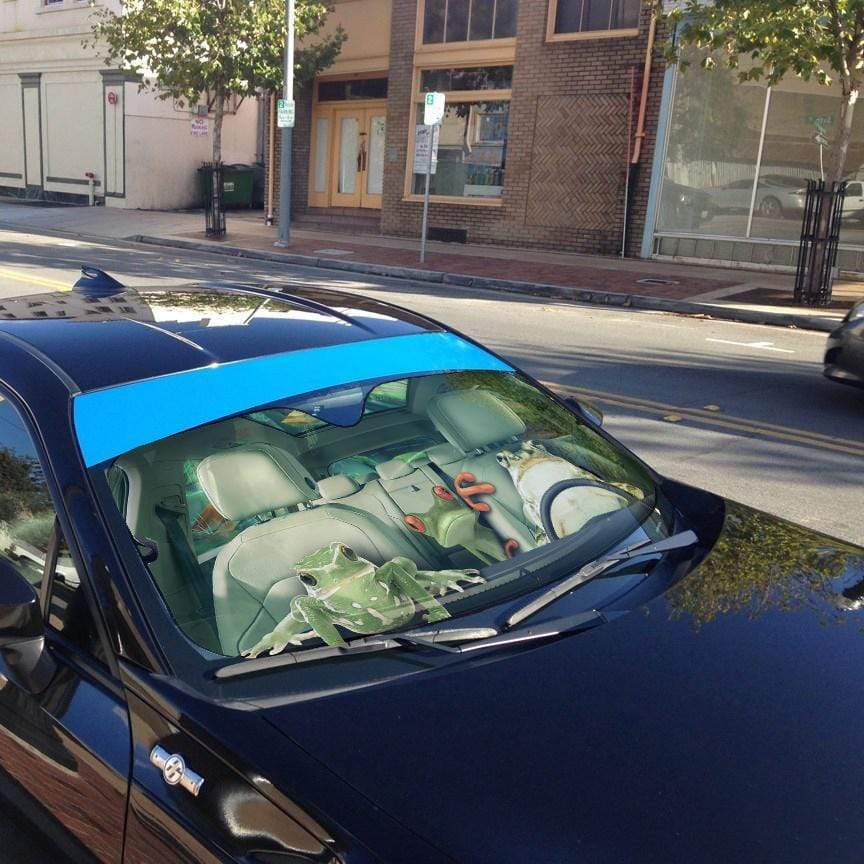 Gearhumans 3D Frogs Custom Car Auto Sunshade