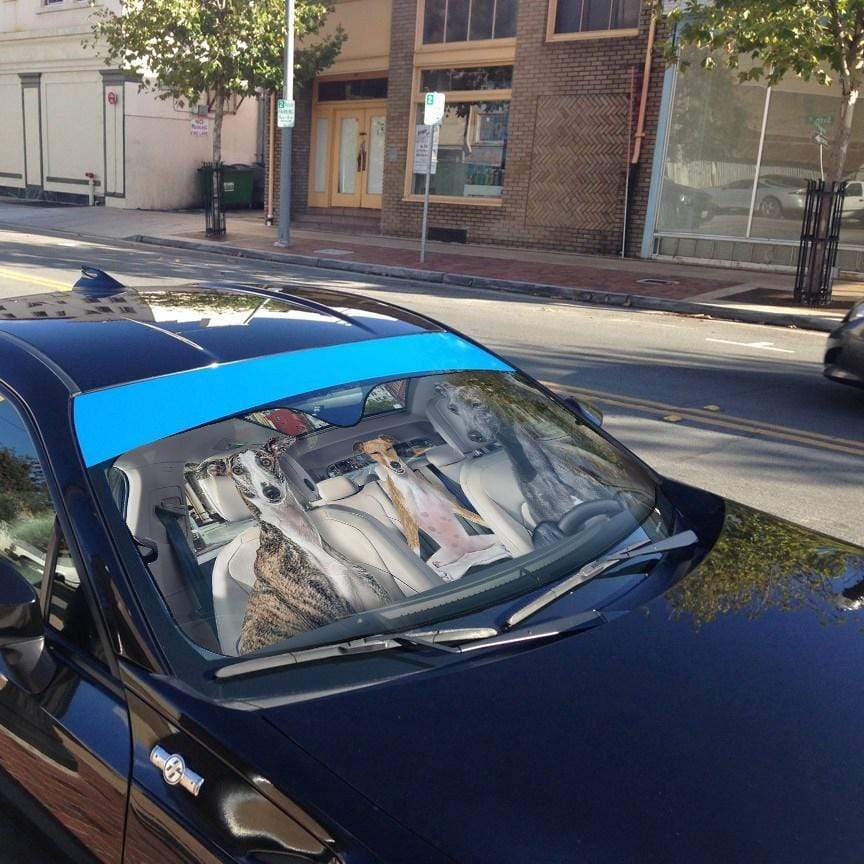 Gearhumans 3D Greyhounds Custom Car Auto Sunshade