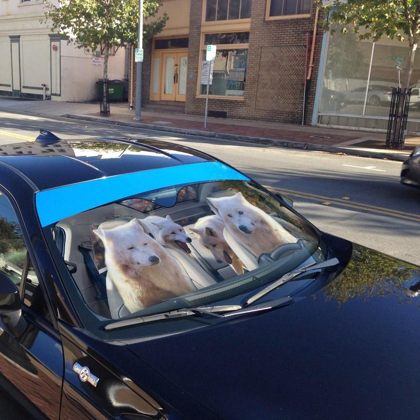 Gearhumans 3D Laughing Wolves Custom Car Auto Sunshade
