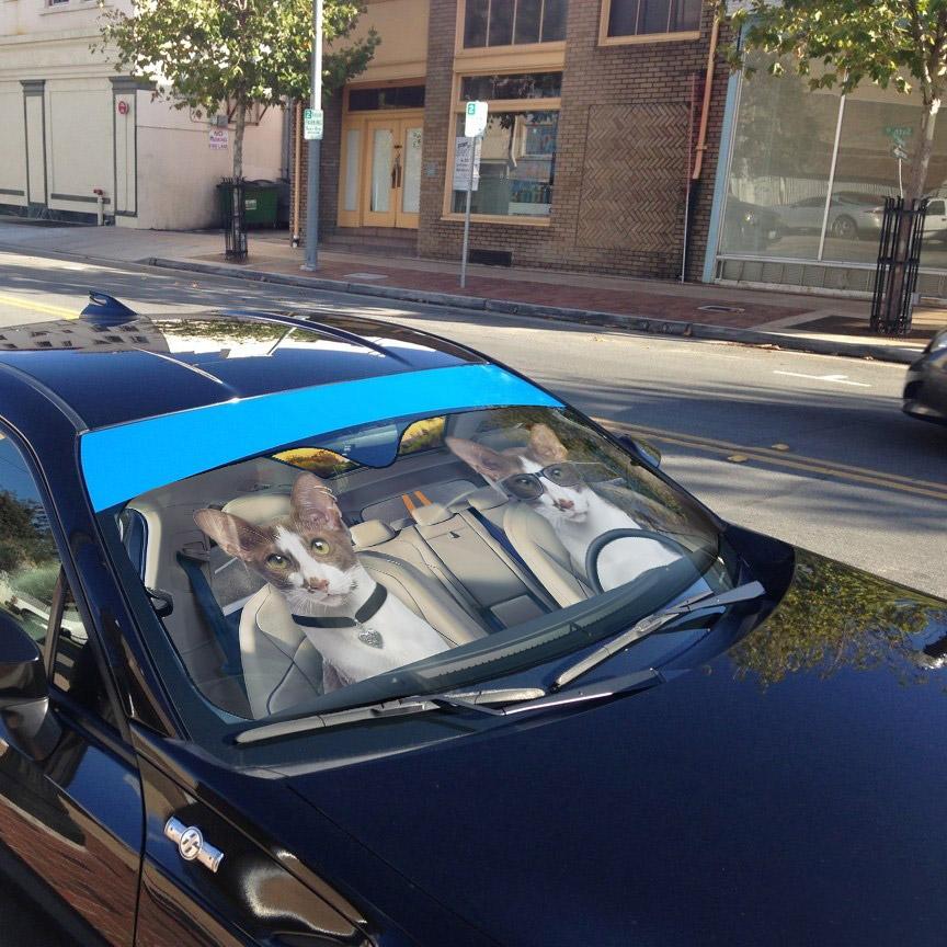 Gearhumans 3D Oriental Shorthair Cat Auto Car Sunshade