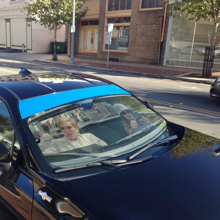 Gearhumans 3D The Princess Diaries Custom Auto Car Sunshade