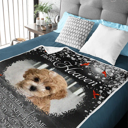 A Hug From Heaven Blanket – Cardinal Dog Memorial Gift - PersonalizedFury