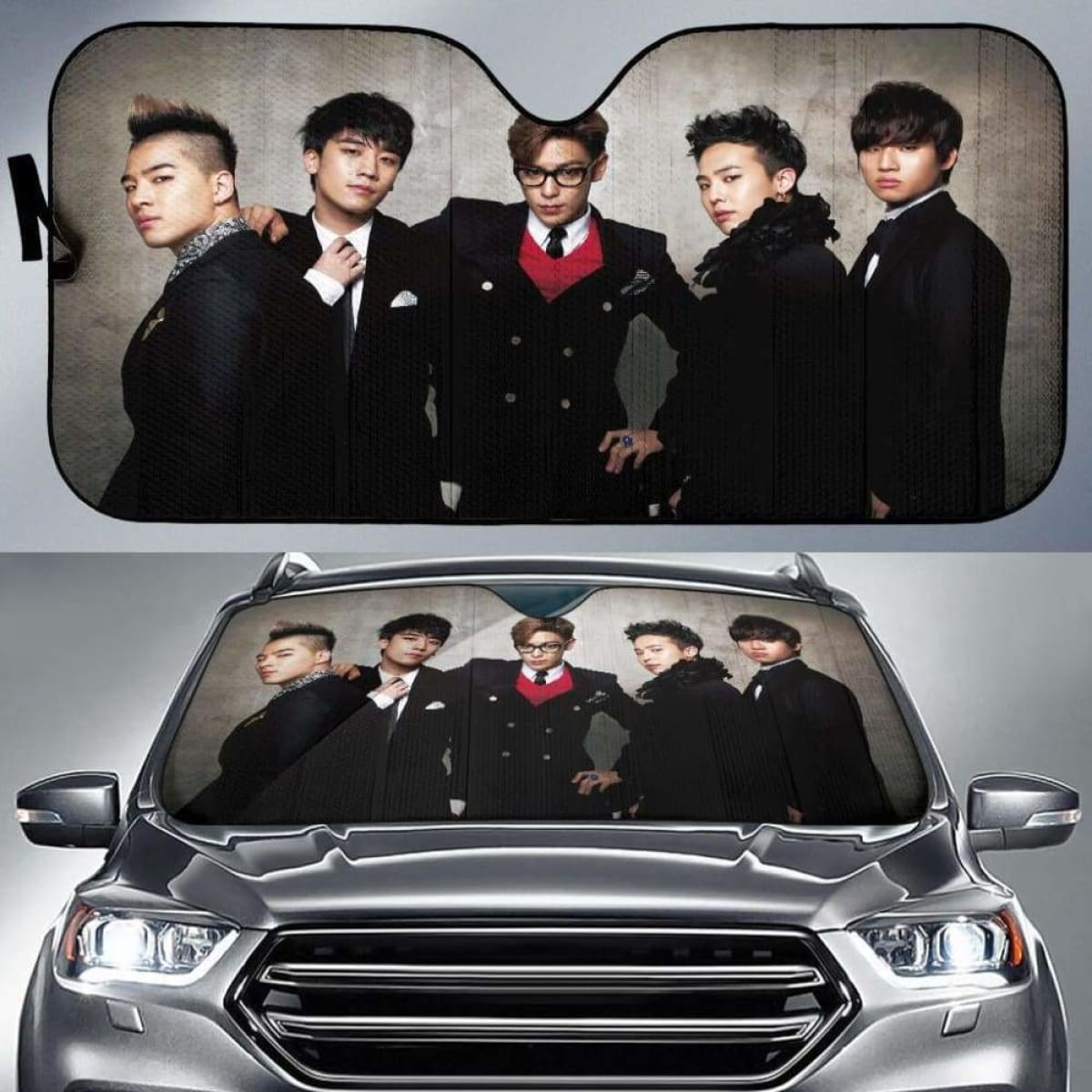 Big Bang Car Auto Sun Shades Universal Fit 051312