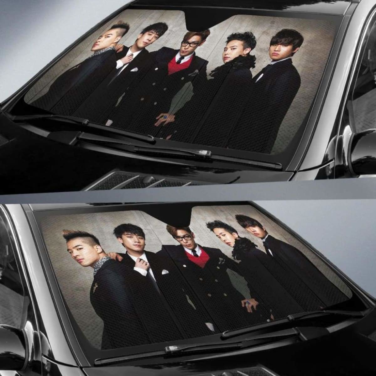 Big Bang Car Auto Sun Shades Universal Fit 051312