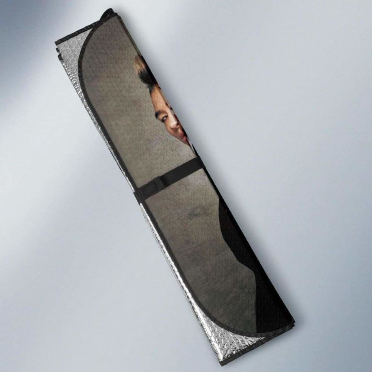 Big Bang Car Auto Sun Shades Universal Fit 051312