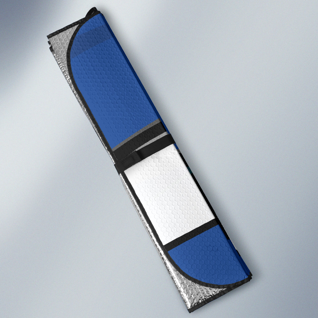 Blue Angry Eyes Car Auto Sun Shades