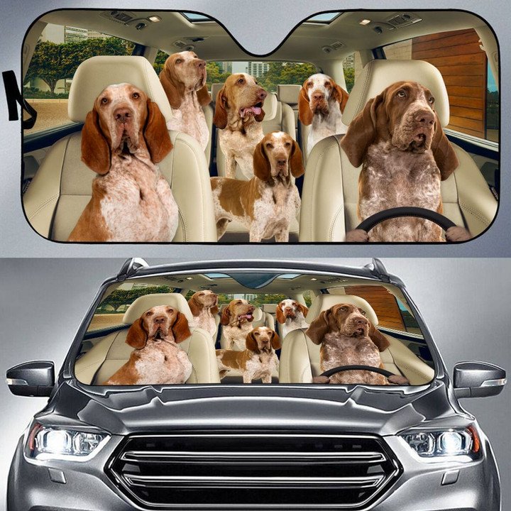 Bracco Italia Car All Over Printed 3D Sun Shade