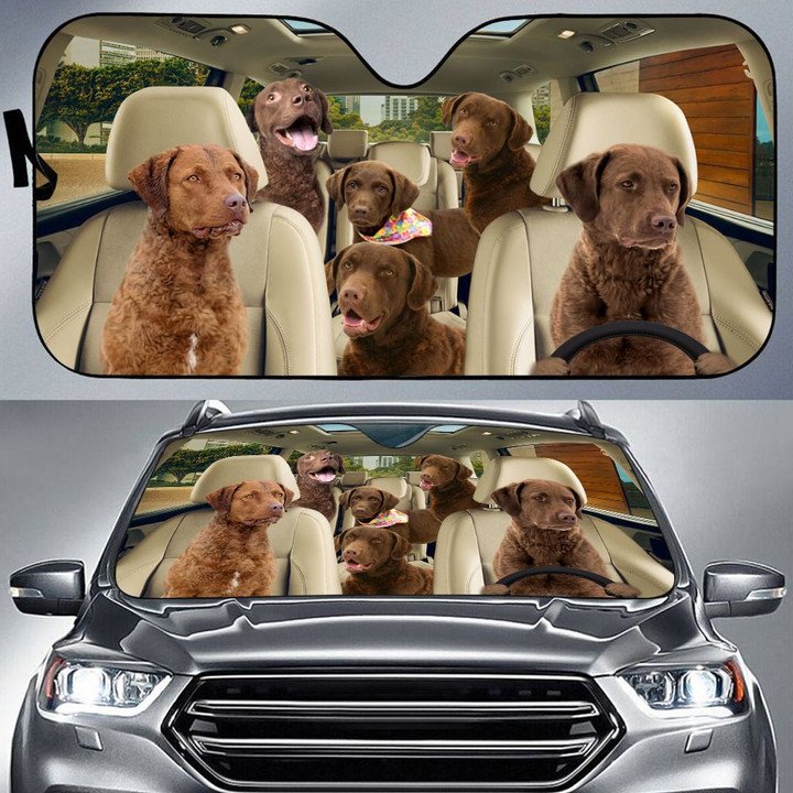 Chesapeake Bay Retriever Car All Over Printed 3D Sun Shade