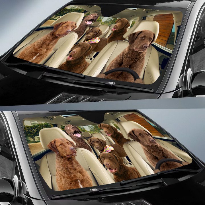 Chesapeake Bay Retriever Car All Over Printed 3D Sun Shade