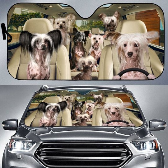 Chinese Crested All Over Printed 3D Sun Shade