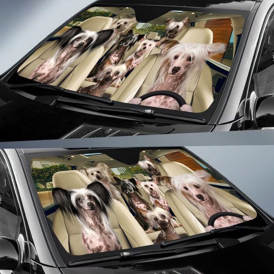 Chinese Crested All Over Printed 3D Sun Shade