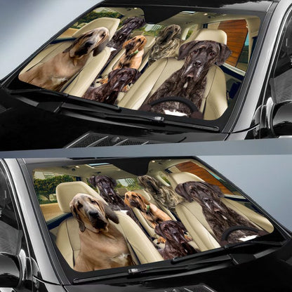 Fila Brasileiro Car All Over Printed 3D Sun Shade