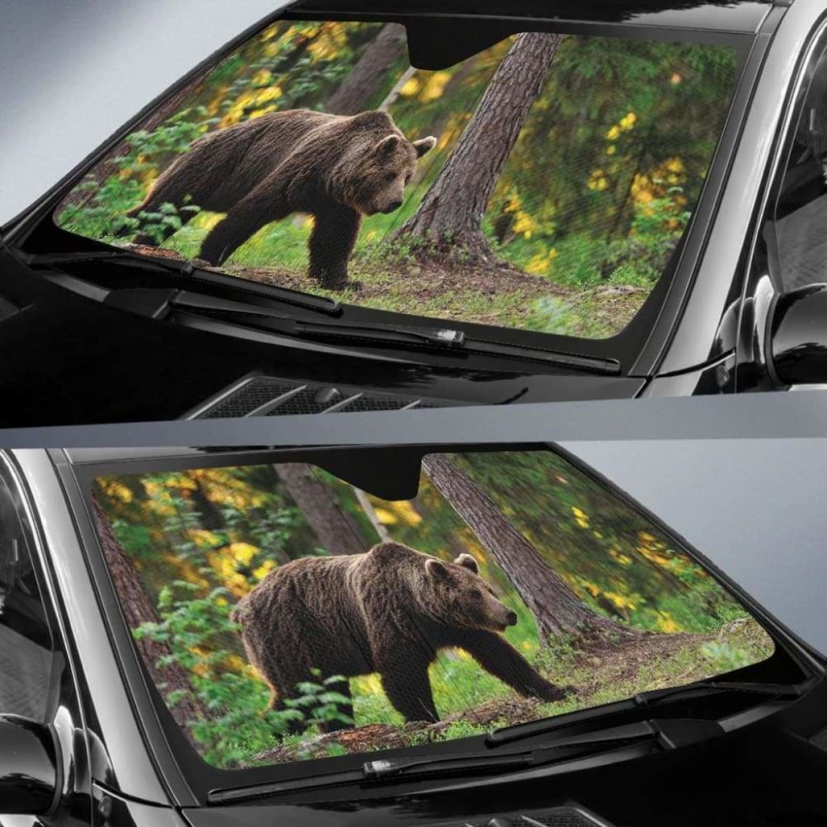 Forest Brown Bear Auto Sun Shades 918b Universal Fit