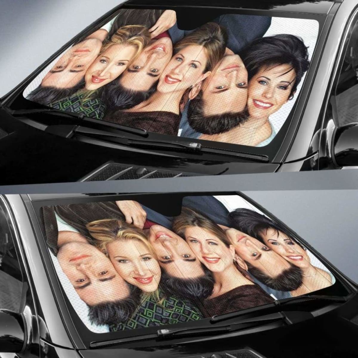 Friends TV Show Funny Head Auto Sun Shades 918b Universal Fit