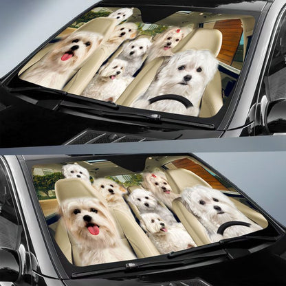 Maltese Car All Over Printed 3D Sun Shade