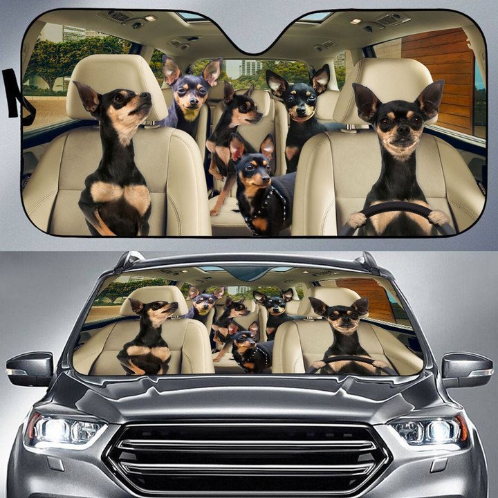 Prazsky Krysarik Car All Over Printed 3D Sun Shade