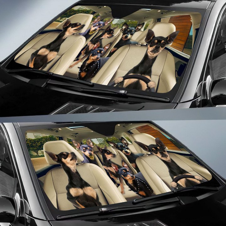 Prazsky Krysarik Car All Over Printed 3D Sun Shade
