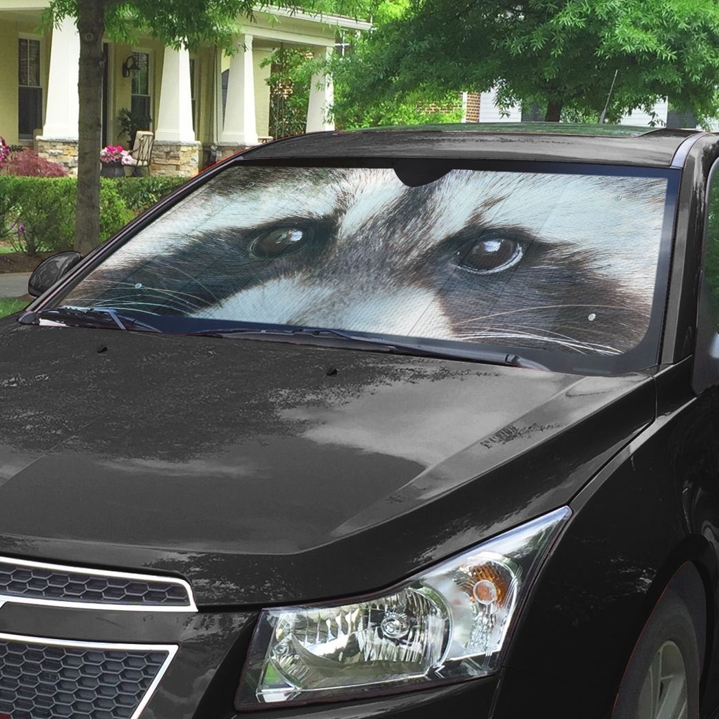 Gearhuman 3D Raccoon Eyes Sunshade