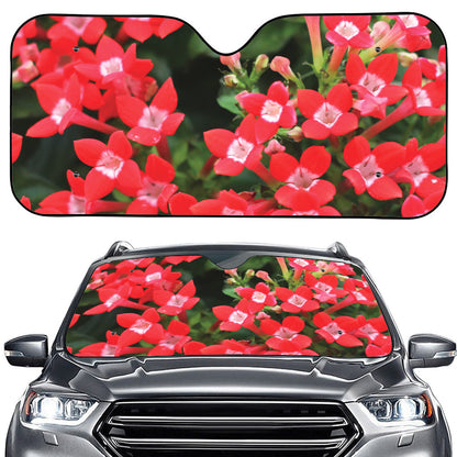 Red Bouvardia Print Car Windshield Sun Shade
