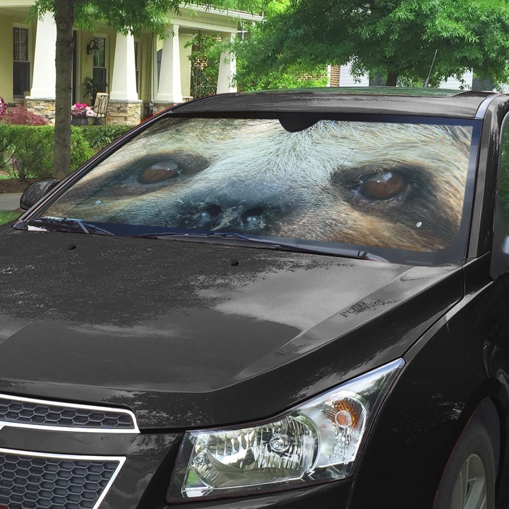 Gearhuman 3D Sloth Smiling Eyes Sunshade
