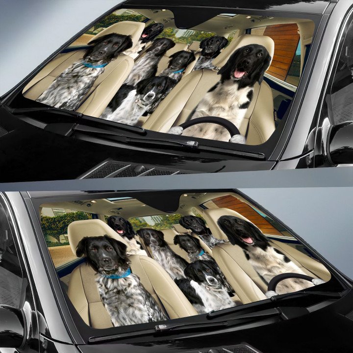 Stabyhoun Car All Over Printed 3D Sun Shade