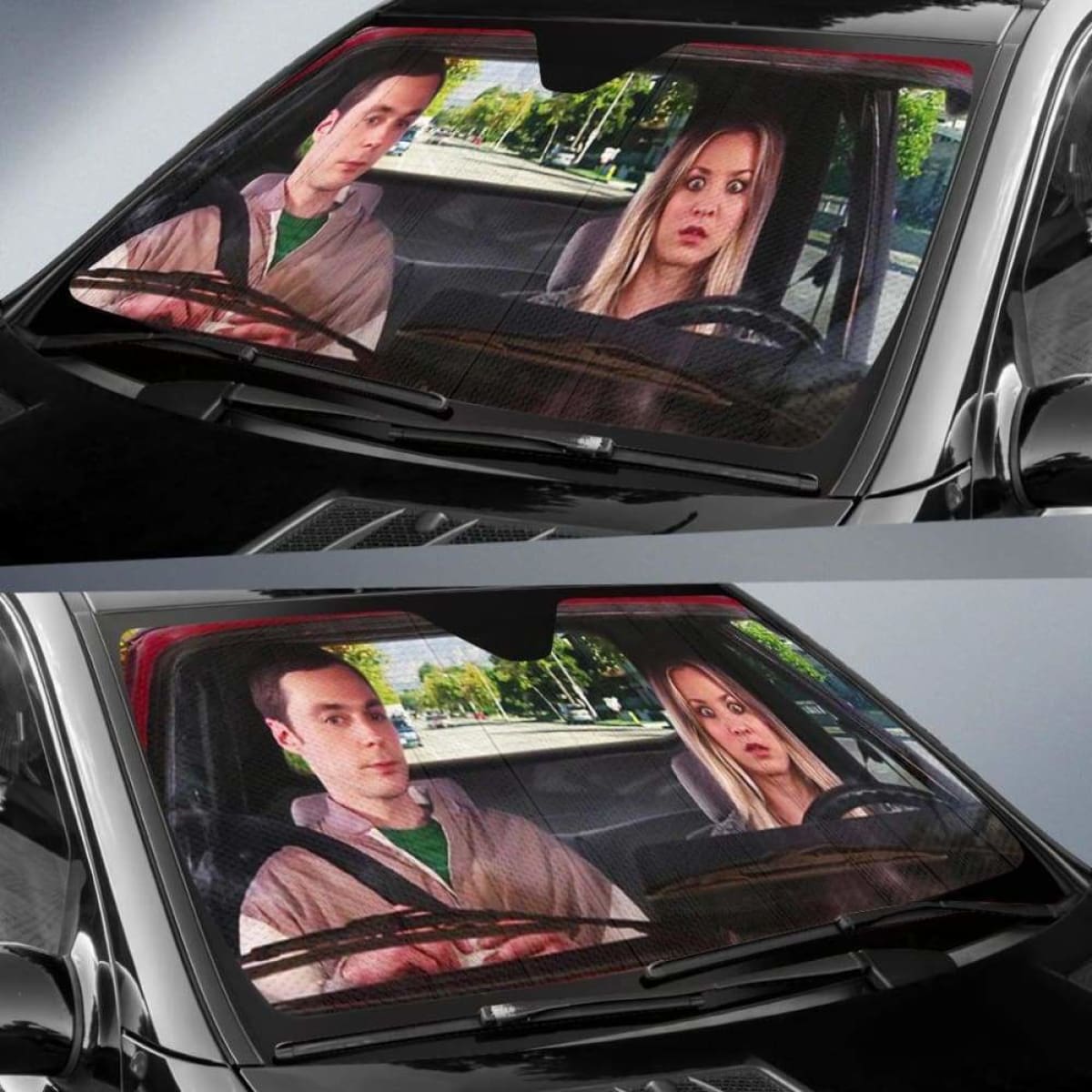 The Big Bang Theory Auto Sun Shade 918b Universal Fit