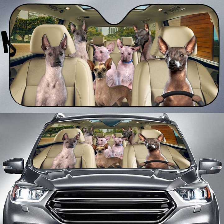 Xoloitzcuintli Car All Over Printed 3D Sun Shade