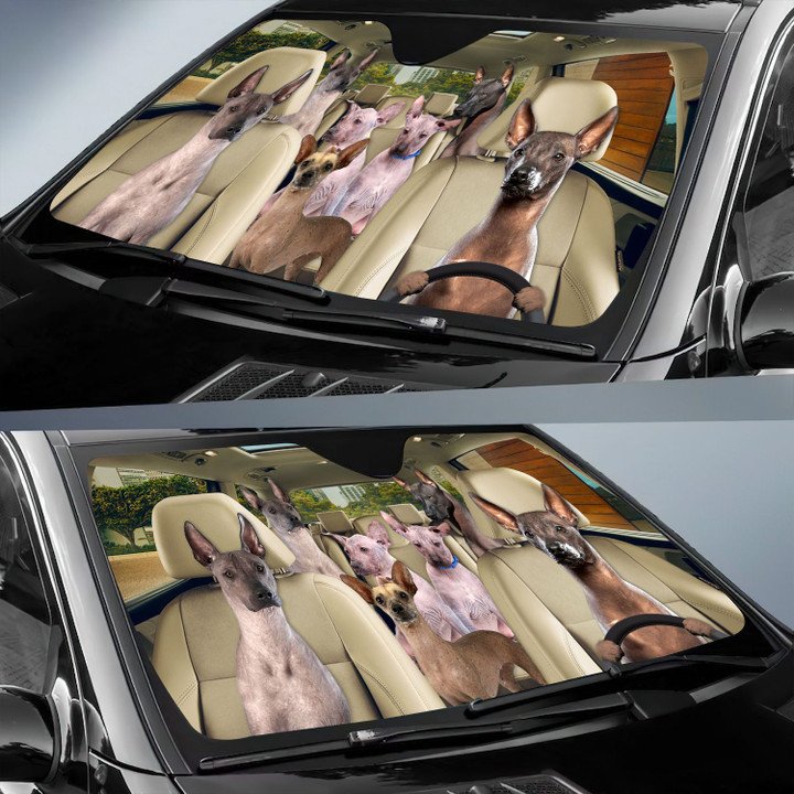 Xoloitzcuintli Car All Over Printed 3D Sun Shade