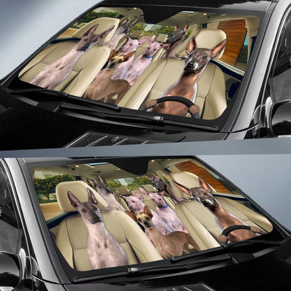 Xoloitzcuintli Car All Over Printed 3D Sun Shade