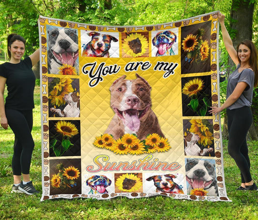You Are My Sunshine Sunflower Pit Bull Blanket